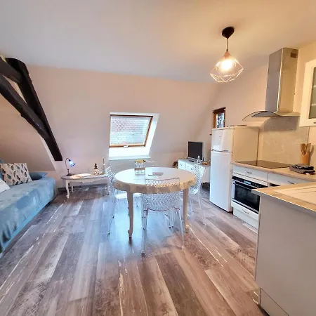 شقة Cosy Duplex أوبيرني
